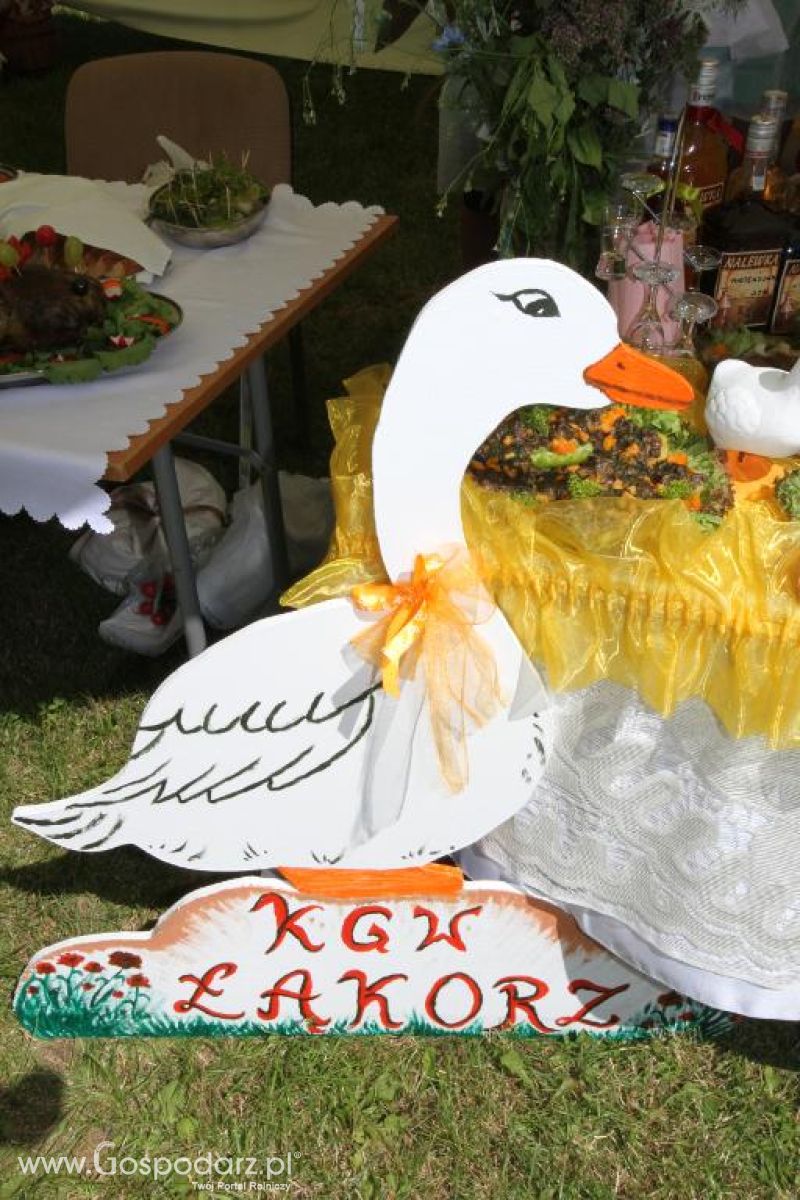 X Święto Gęsi w Biskupcu