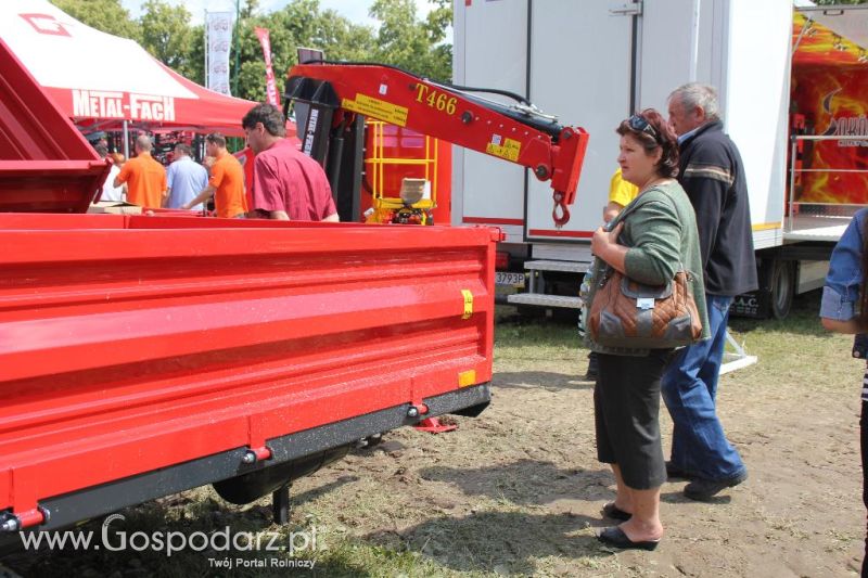 Regionalna Wystawa Zwierząt Hodowlanych i Dni z Doradztwem Rolniczym w Szepietowie-sobota