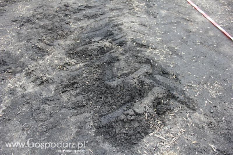 Precyzyjny Gospodarz 2013 Kowalewo Pomorskie - sobota.