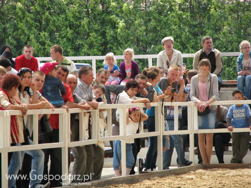 Wystawa Koni Sielinko 2011