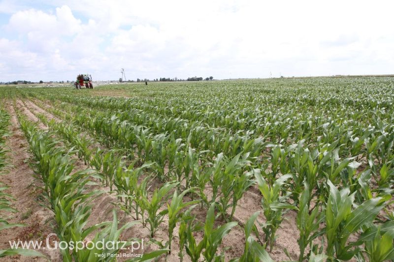Pokazy pracy polowej opryskiwacza rolniczego samobieżnego Herkules