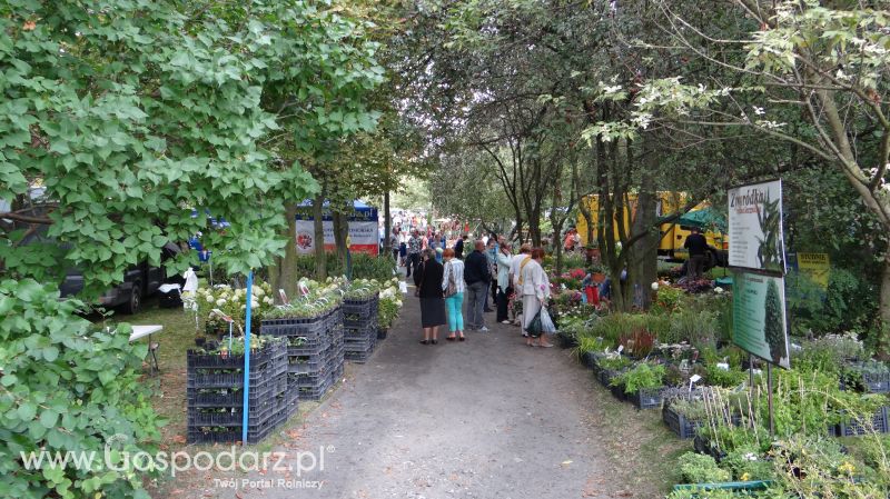 Pałuckie Targi Rolne 2014