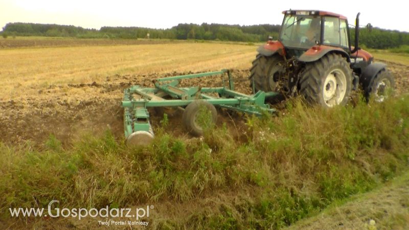 Talerzowane 2013 