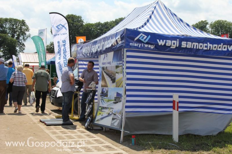 Szepietowo 2012 XIX Regionalna Wystawa Zwierząt Hodowlanych, I Ogólnopolska Wystawa Drobiu oraz Dni z Doradztwem Rolniczym