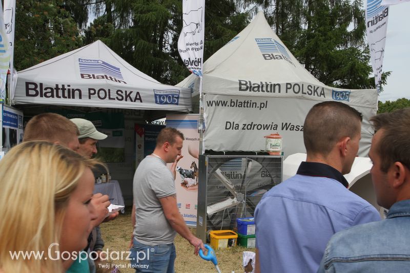 Zielone AGRO SHOW - Polskie Zboża 2015 w Sielinku