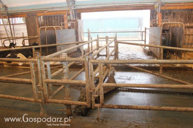Wyjazd studyjny na farmę w Hohenhameln (Niemcy)