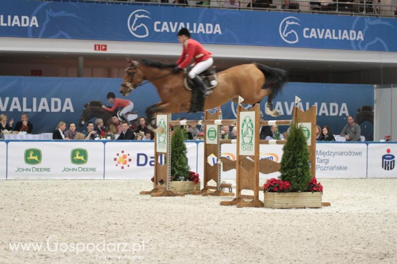 CAVALIADA 2013 w Poznaniu