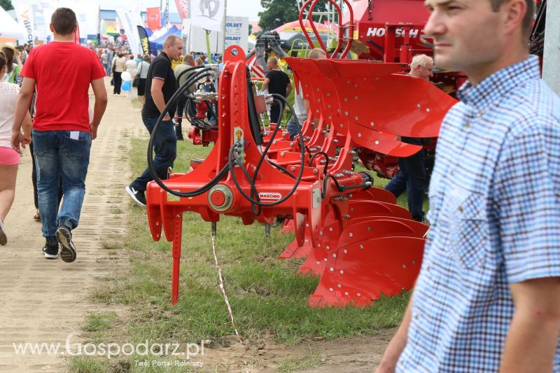 Maschio Gaspardo na Regionalnej Wystawie Zwierząt Hodowlanych i Dni z Doradztwem w Szepietowie 2017