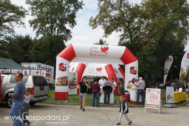 I Krajowa Wystawa Bydła Mięsnego w Sielinku - sobota