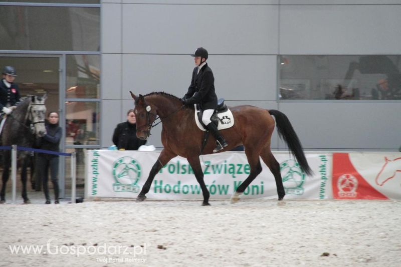 CAVALIADA 2013 w Poznaniu