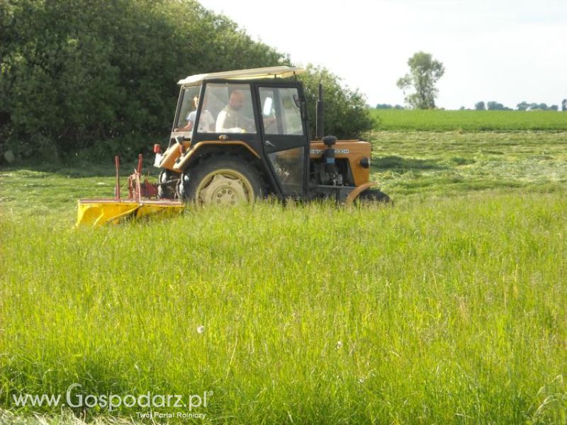 pierwsze sianokosy w roli głownej ursus c330M...