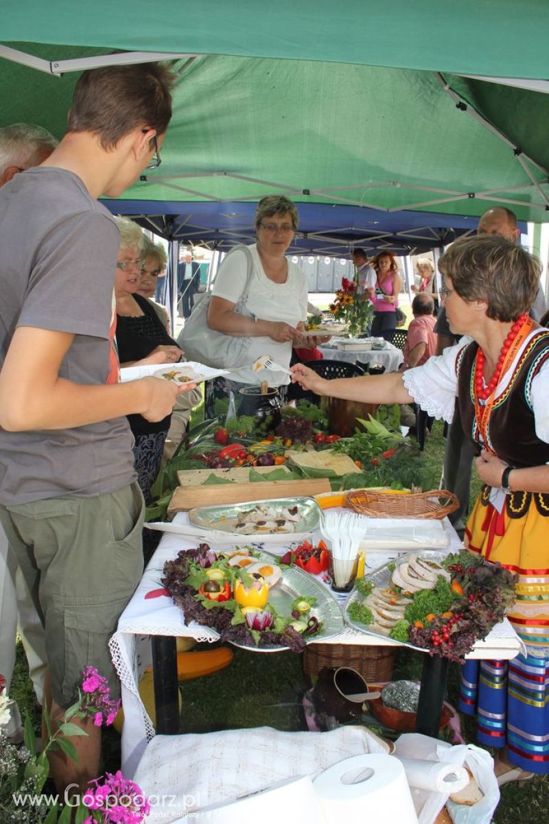 Festiwal Wieprzowiny w Bełżycach