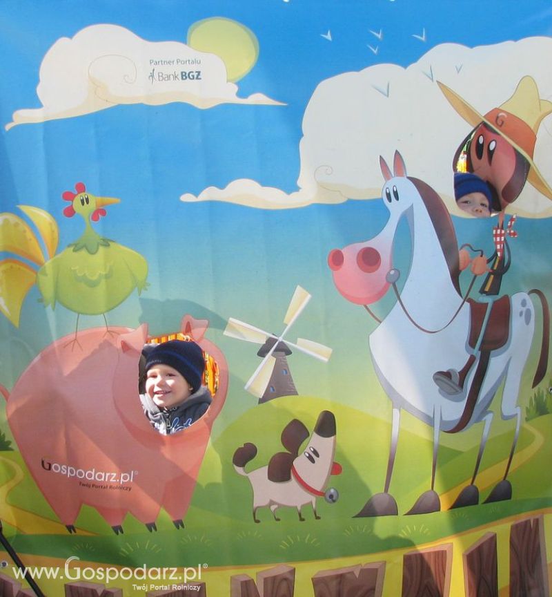 Zdjęcia ze świnką na Agro Show 2012 niedziela