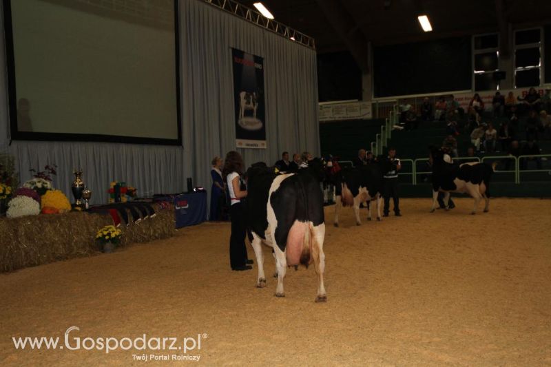Wystawa  Blickpunkt Rind 2013 w miejscowości Paaren/Glien (Niemcy)