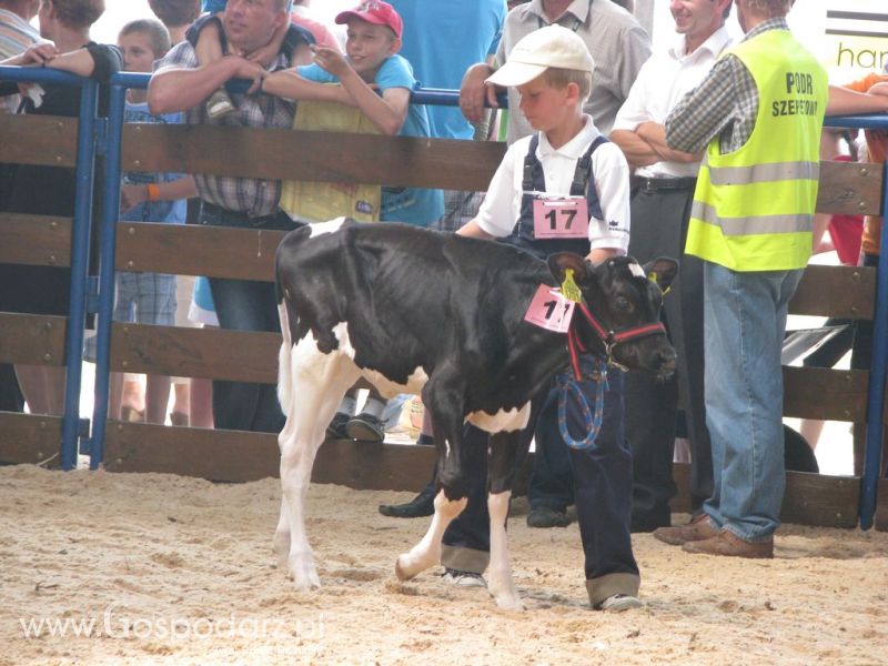 Młody Hodowca - Szepietowo 2012 XIX Regionalna Wystawa Zwierząt Hodowlanych