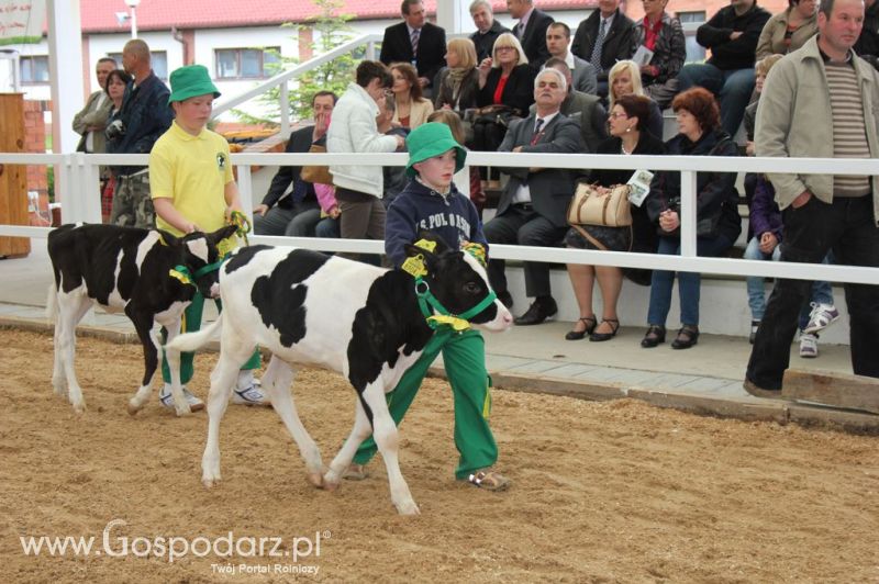 Mali Hodowcy VII Ogólnopolska Wystawa Bydła Hodowlanego w Sielinku 2012