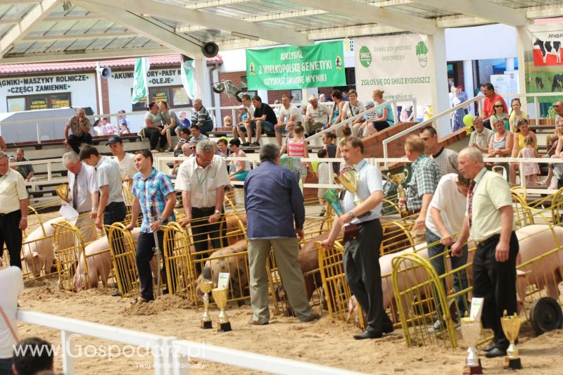 Zielone AGRO SHOW – POLSKIE ZBOŻA 2014 w Sielinku - niedziela