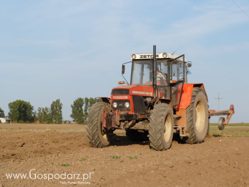 Głęboszowanie ZTS 16245 