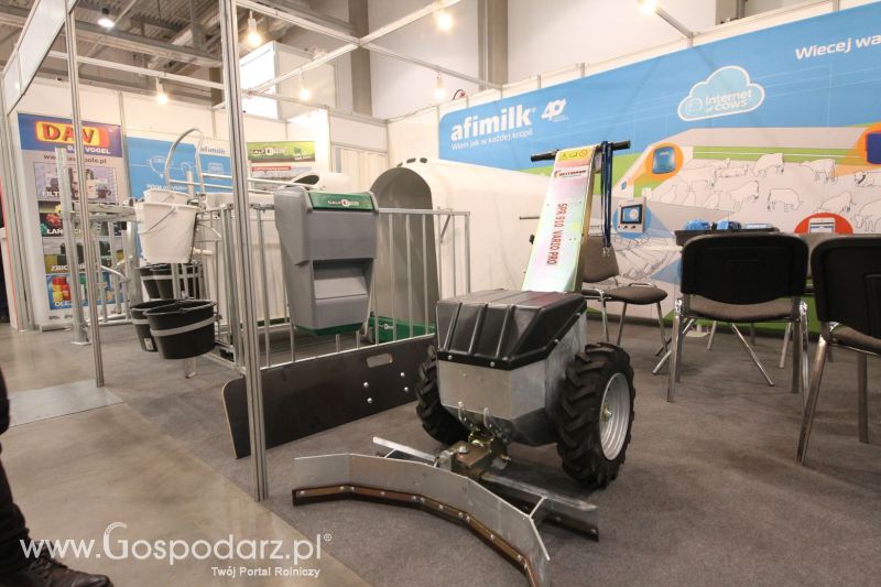 FERMA 2020 dzień 3