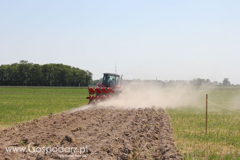 Polskie Zboża 2011 - Piątek 