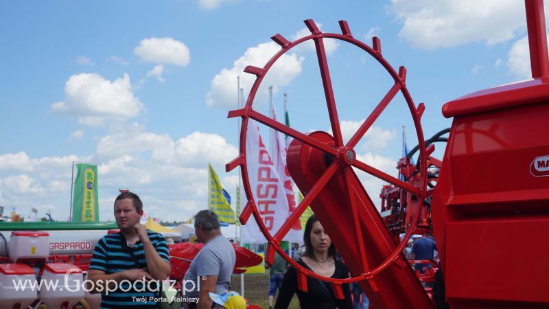 Maschio Gaspardo na Opolagrze 2017