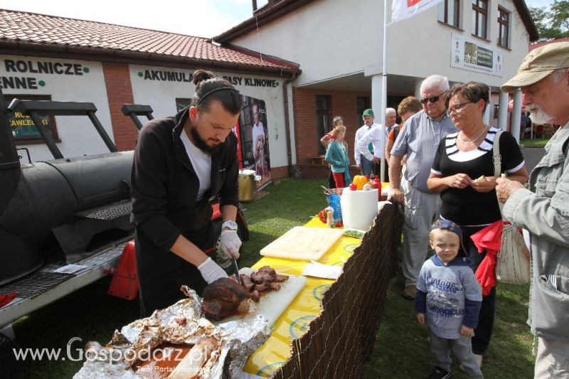 I Krajowa Wystawa Bydła Mięsnego w Sielinku - sobota