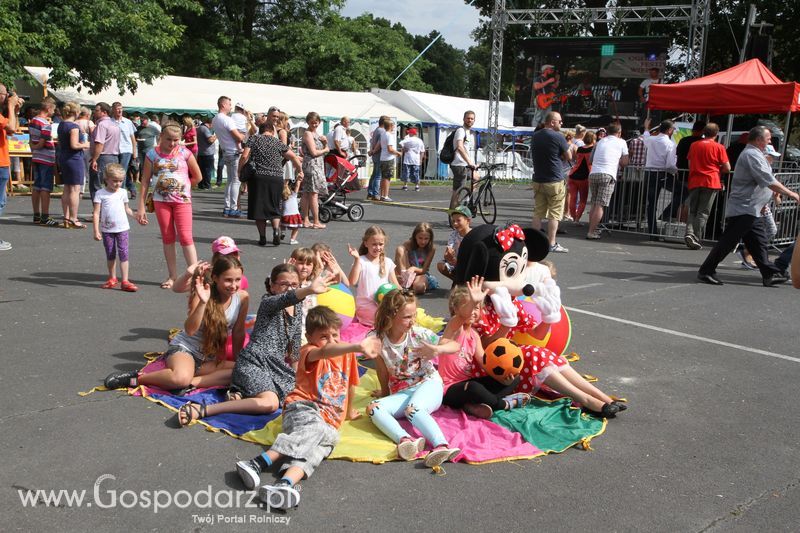 IV Ogólnopolski Festiwal Wieprzowiny - Koźmin Wlkp 2016