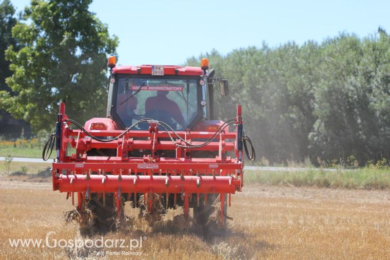 Zetor Family Tractor Show 2013 - Opatów