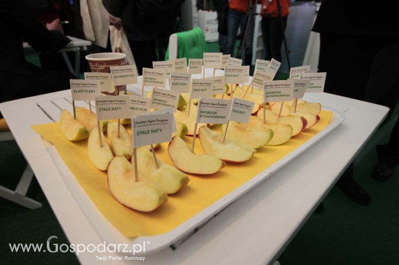 Targi AGROTECH i LAS-EXPO Kielce cz.2