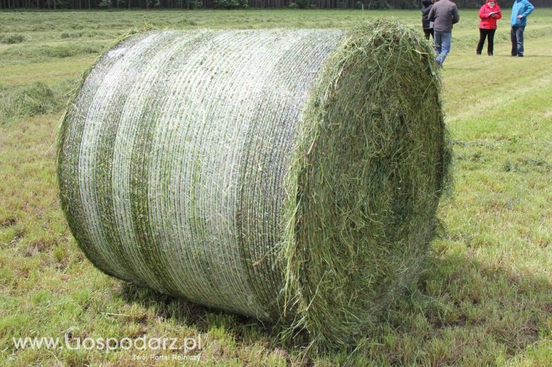 Pokazy maszyn Polskie Zboża Zielone Agro Show 2012