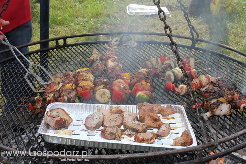 Konkurs kulinarny Grillowane Szaszłyki z Wieprzowiny