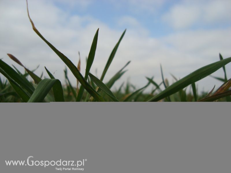 Moje zdjęcia