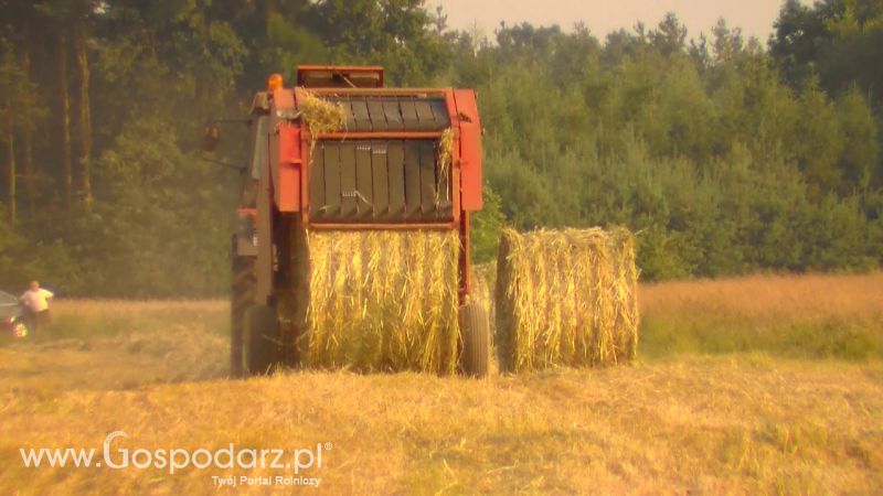 Zbiór Słomy 2013