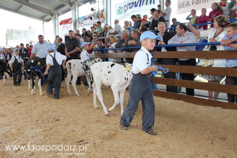 Młody hodowca na XVIII Regionalnej Wystawie Zwierząt Hodowlanych w Szepietowie