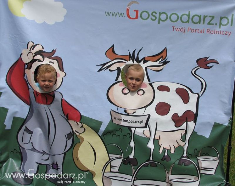 Wielkopolskie Targi Rolnicze „Sielinko 2011”  - Krówka Gospodarza