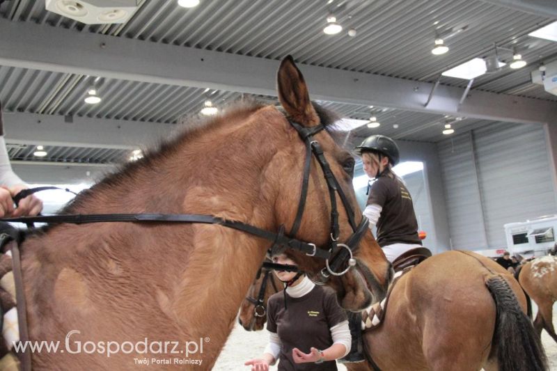 CAVALIADA 2013 w Poznaniu