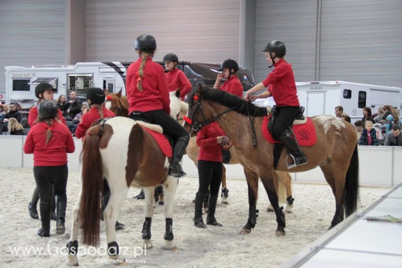 CAVALIADA 2013 w Poznaniu