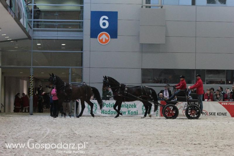 CAVALIADA 2013 w Poznaniu
