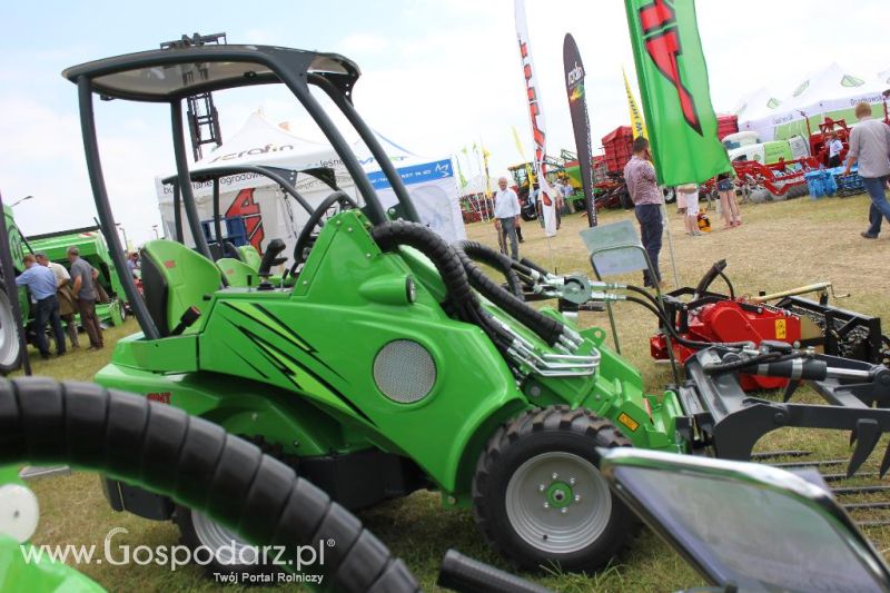 Serafin na Opolagrze 2013
