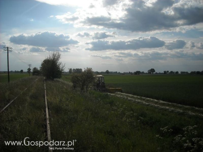 pierwsze sianokosy w roli głownej ursus c330M...