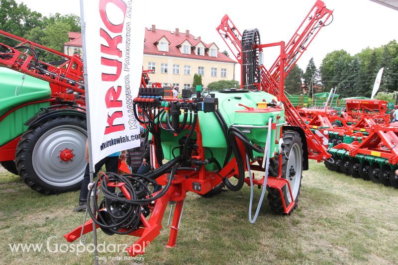 Zielone AGRO SHOW - Polskie Zboża 2015 w Sielinku