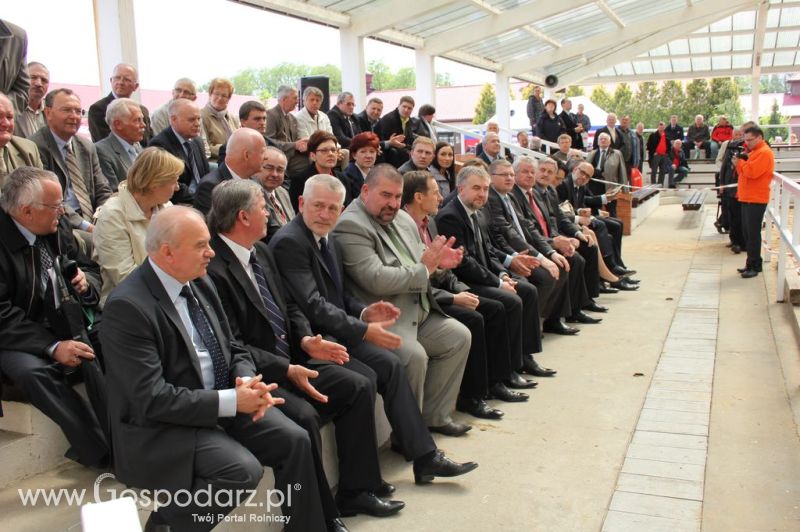 Otwarcie VII Ogólnopolskiej Wystawy Bydła Hodowlanego - Sielinko 2012