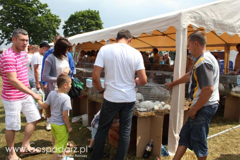 Regionalna Wystawa Zwierząt Hodowlanych i Dni z Doradztwem Rolniczym w Szepietowie-niedziela