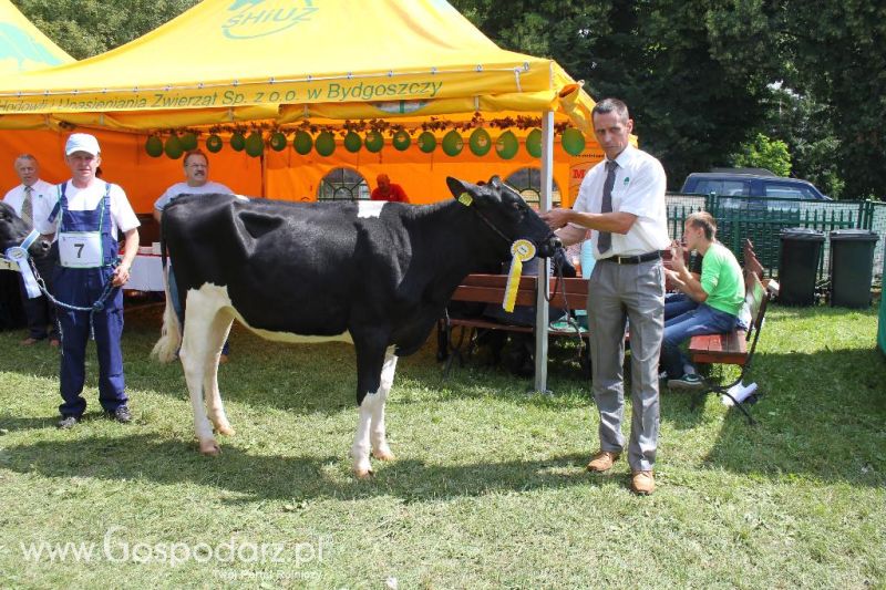 Regionalna Wystawa Zwierząt Hodowlanych i Dni z Doradztwem Rolniczym w Szepietowie-sobota