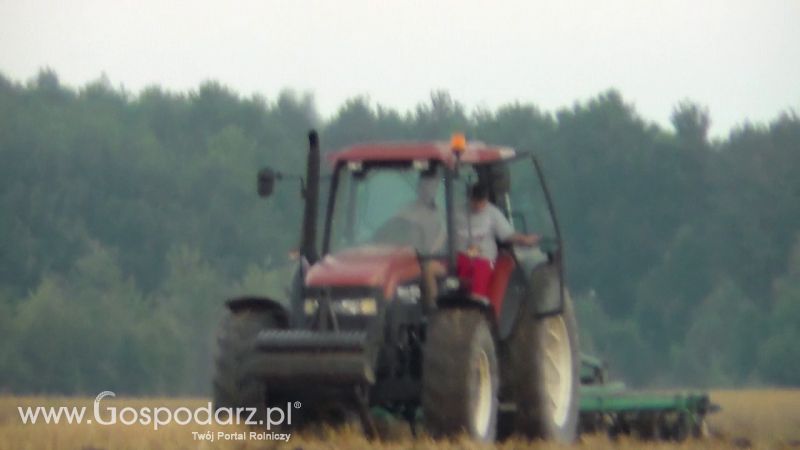 Talerzowane 2013 