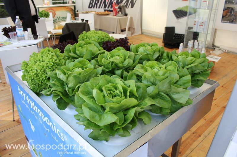 XIII Dni Ogrodnika w Gołuchowie