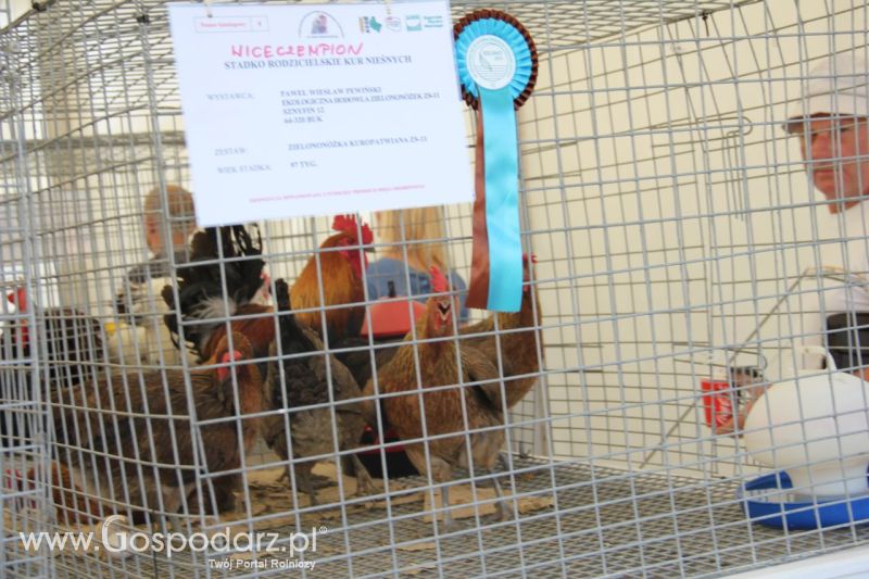 Zielone AGRO SHOW – POLSKIE ZBOŻA 2014 w Sielinku - niedziela