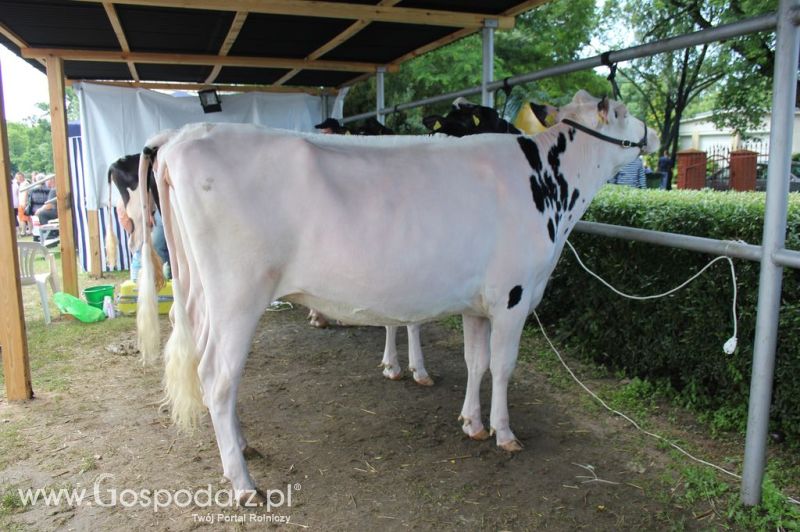 Relacja Foto Agro-Tech Minikowo 2012