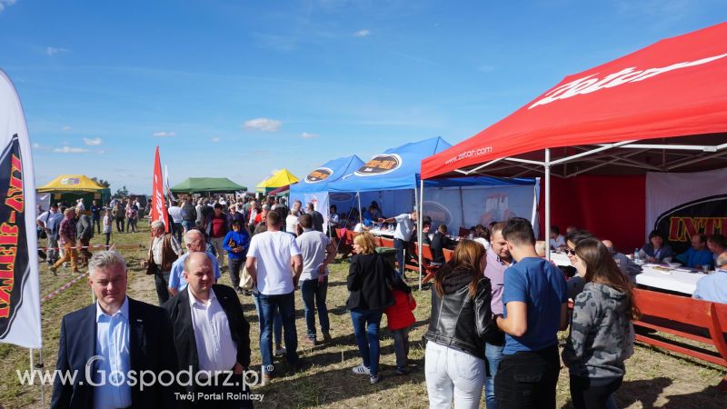 V Wojewódzki Konkurs ORKI