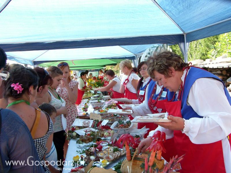 Festiwal Wieprzowiny Targowisko Dolne k/Lubawy 2012